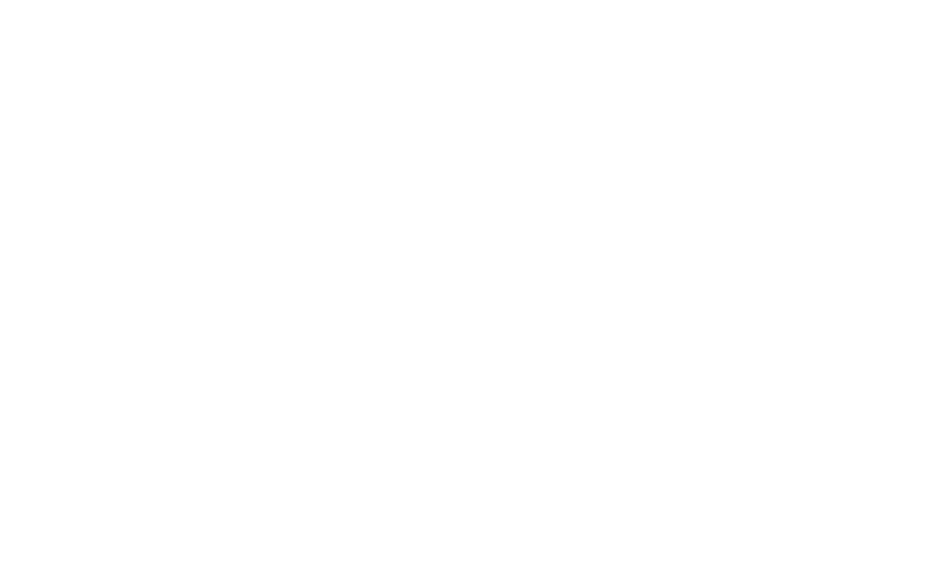 VIVAS PHARMA INVESTMENTS SLU